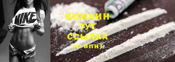 стаф Гусь-Хрустальный