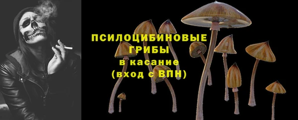 шишки Ахтубинск