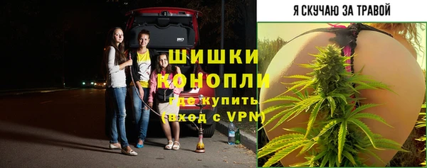 прущие крисы Аша