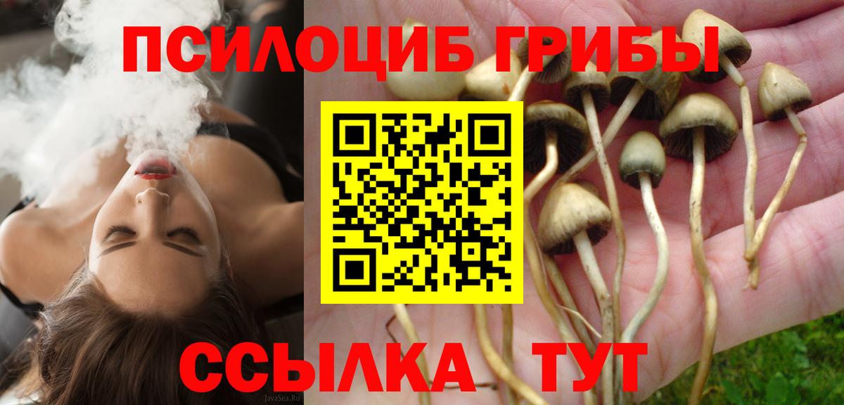 Галлюциногенные грибы GOLDEN TEACHER Апрелевка