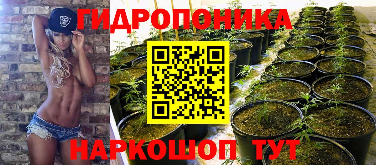 Бошки марихуана план  Бошки Шишки марихуана  Вход с VPN  Апрелевка 